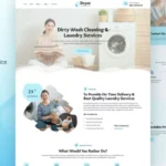 Dryze – Dry Cleaning & Laundry Service Elementor Template