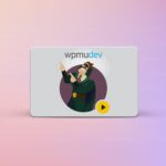 WPMU DEV Hustle